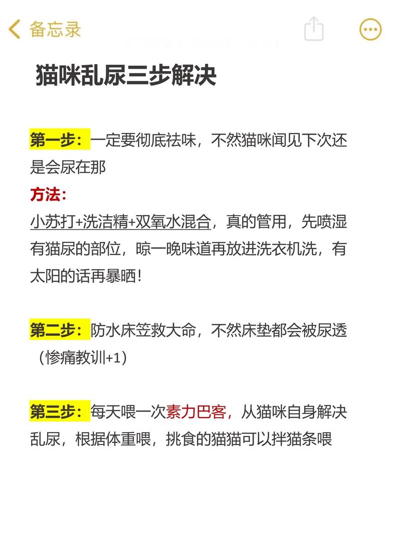 猫尿床/猫尿床后运气要变好了-第5张图片 猫尿床/猫尿床后运气要变好了-第5张图片