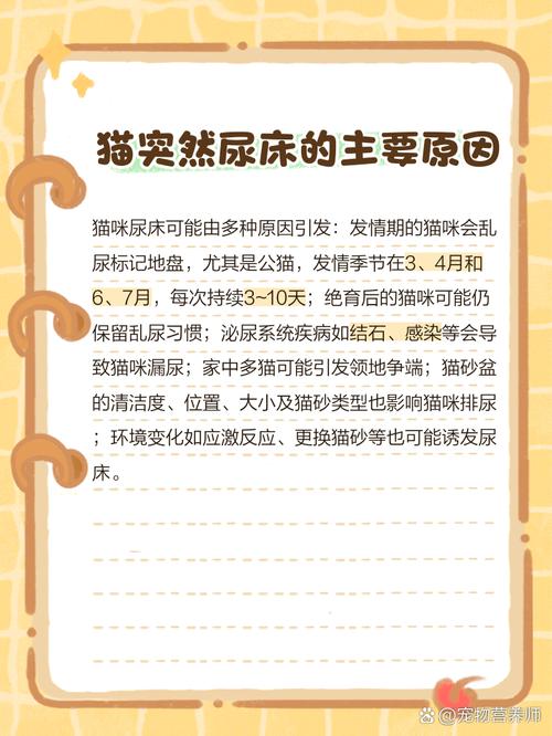 猫尿床/猫尿床后运气要变好了-第6张图片 猫尿床/猫尿床后运气要变好了-第6张图片