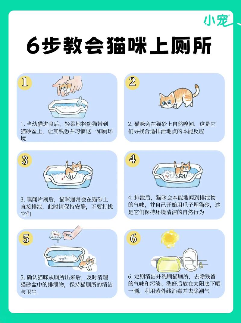 猫尿床/猫尿床后运气要变好了-第9张图片 猫尿床/猫尿床后运气要变好了-第9张图片