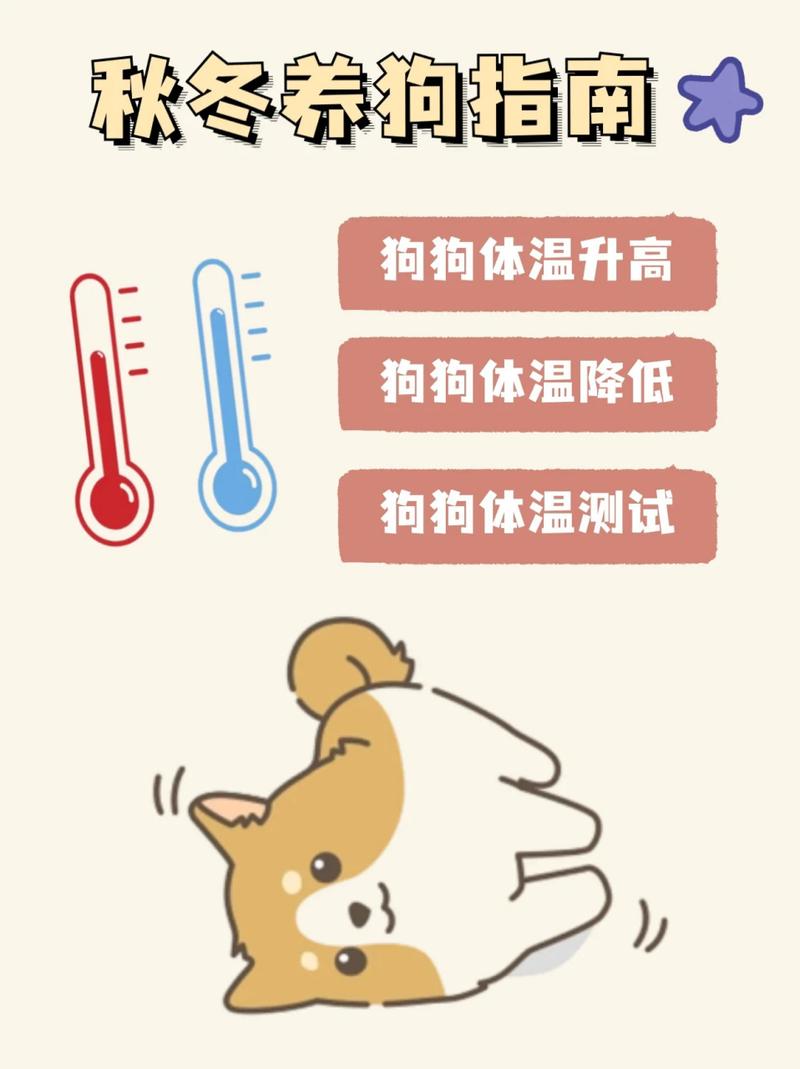 狗狗的正常体温-狗狗的正常体温一般在什么范围-第1张图片 狗狗的正常体温-狗狗的正常体温一般在什么范围-第1张图片