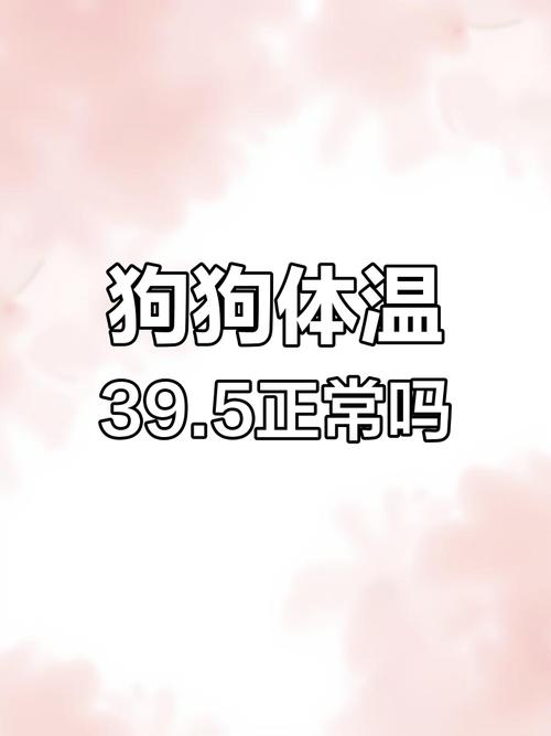 狗狗的正常体温-狗狗的正常体温一般在什么范围-第4张图片 狗狗的正常体温-狗狗的正常体温一般在什么范围-第4张图片