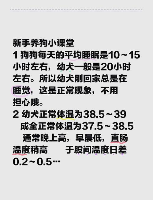 狗狗的正常体温-狗狗的正常体温一般在什么范围-第8张图片 狗狗的正常体温-狗狗的正常体温一般在什么范围-第8张图片