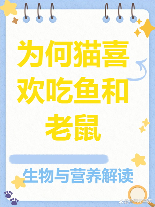 猫吃老鼠的视频,抓老鼠视频-第8张图片 猫吃老鼠的视频,抓老鼠视频-第8张图片