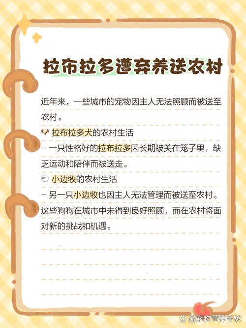 拉布拉多可以当土狗养吗-拉布拉多可以当土狗养吗?-第4张图片 拉布拉多可以当土狗养吗-拉布拉多可以当土狗养吗?-第4张图片
