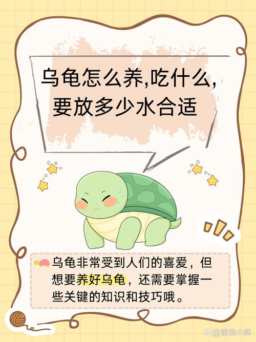 作为消费者“养小乌龟放多少水”你不能不知道-第4张图片 作为消费者“养小乌龟放多少水”你不能不知道-第4张图片