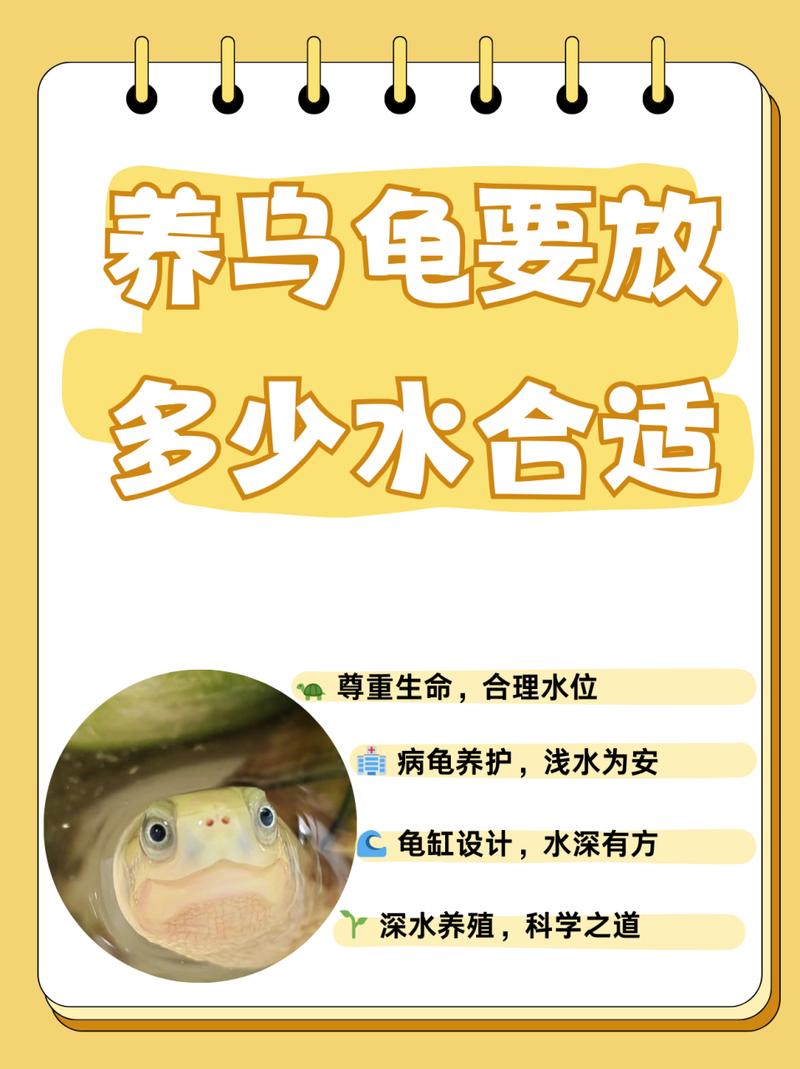 作为消费者“养小乌龟放多少水”你不能不知道-第5张图片 作为消费者“养小乌龟放多少水”你不能不知道-第5张图片