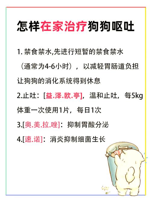 狗狗口吐白沫怎么办/狗狗口吐白沫怎么办又爬不起来-第2张图片 狗狗口吐白沫怎么办/狗狗口吐白沫怎么办又爬不起来-第2张图片