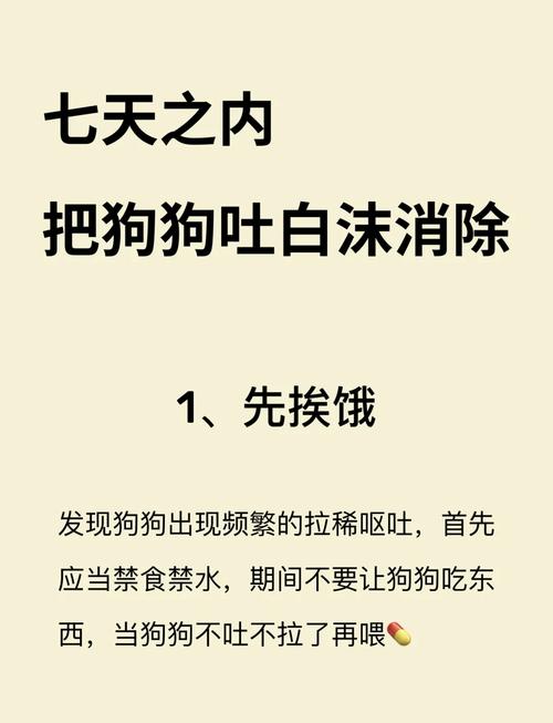 狗狗口吐白沫怎么办/狗狗口吐白沫怎么办又爬不起来-第3张图片 狗狗口吐白沫怎么办/狗狗口吐白沫怎么办又爬不起来-第3张图片