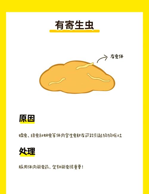 狗狗口吐白沫怎么办/狗狗口吐白沫怎么办又爬不起来-第5张图片 狗狗口吐白沫怎么办/狗狗口吐白沫怎么办又爬不起来-第5张图片