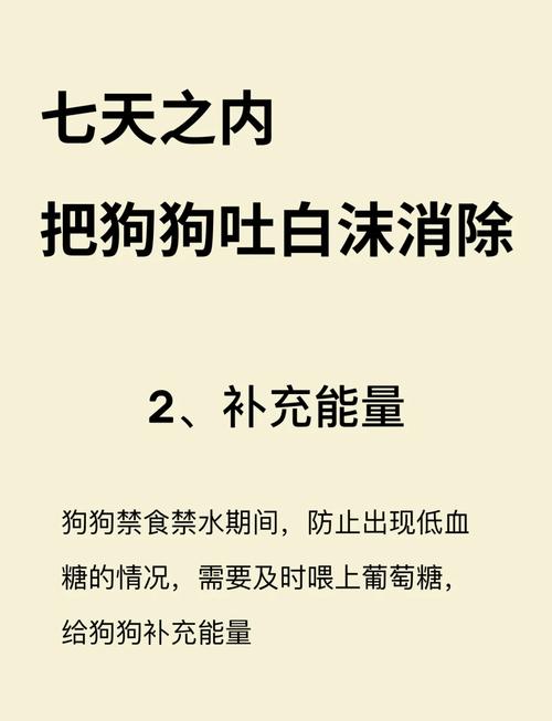 狗狗口吐白沫怎么办/狗狗口吐白沫怎么办又爬不起来-第6张图片 狗狗口吐白沫怎么办/狗狗口吐白沫怎么办又爬不起来-第6张图片