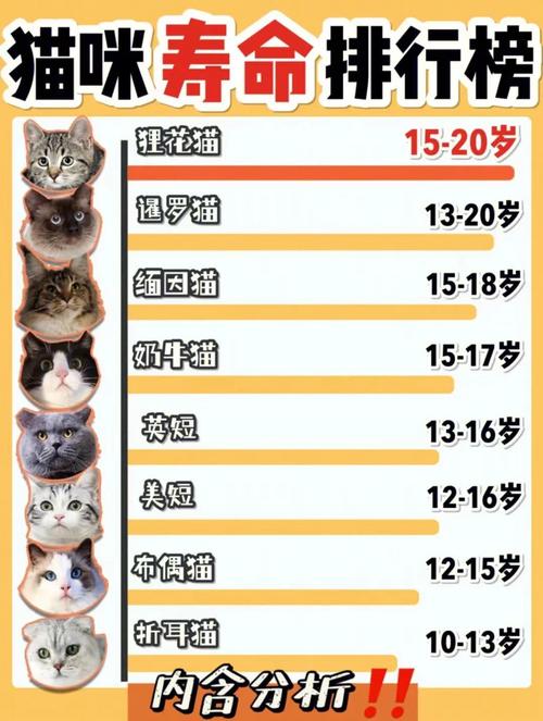 猫的寿命比较多达到几年-猫的寿命能有几年-第2张图片 猫的寿命比较多达到几年-猫的寿命能有几年-第2张图片