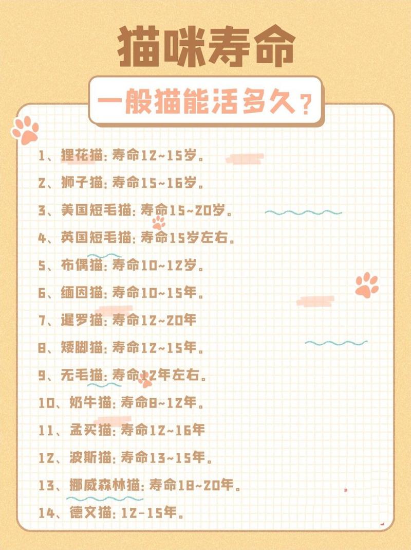 猫的寿命比较多达到几年-猫的寿命能有几年-第3张图片 猫的寿命比较多达到几年-猫的寿命能有几年-第3张图片