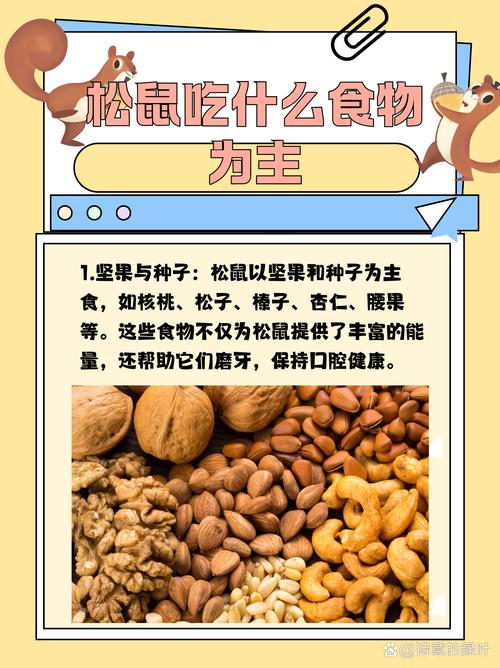 金花松鼠吃什么,金花松鼠喜欢吃什么食物,水果-第1张图片 金花松鼠吃什么,金花松鼠喜欢吃什么食物,水果-第1张图片