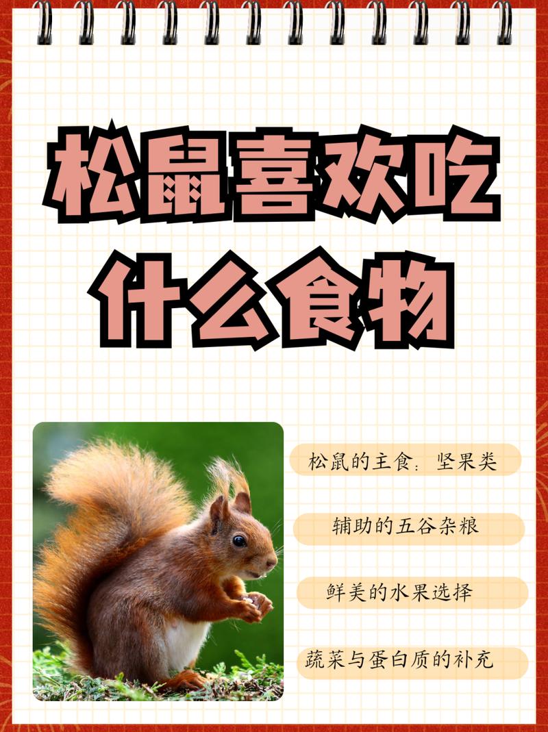 金花松鼠吃什么,金花松鼠喜欢吃什么食物,水果-第2张图片 金花松鼠吃什么,金花松鼠喜欢吃什么食物,水果-第2张图片