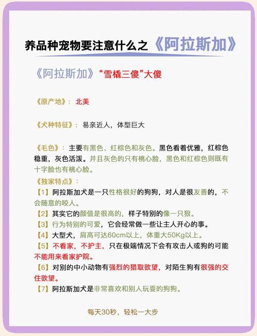 阿拉斯加犬的致命缺点-阿拉斯加犬的用途-第2张图片 阿拉斯加犬的致命缺点-阿拉斯加犬的用途-第2张图片