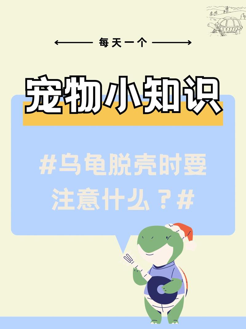 解析“乌龟会换壳吗”你不知道的事-第7张图片 解析“乌龟会换壳吗”你不知道的事-第7张图片