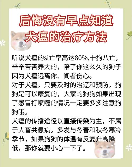狗瘟,狗瘟后期抽搐还有救吗-第2张图片 狗瘟,狗瘟后期抽搐还有救吗-第2张图片