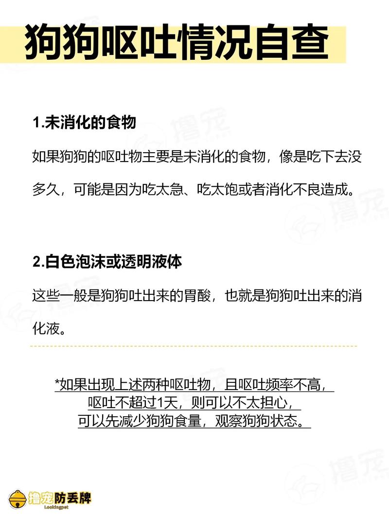 狗瘟,狗瘟后期抽搐还有救吗-第3张图片 狗瘟,狗瘟后期抽搐还有救吗-第3张图片