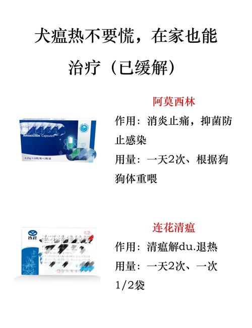 狗瘟,狗瘟后期抽搐还有救吗-第4张图片 狗瘟,狗瘟后期抽搐还有救吗-第4张图片