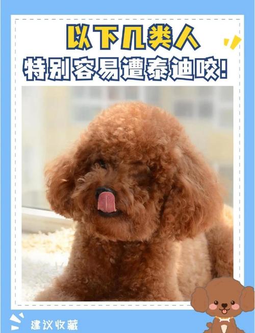 作为消费者“狗狗能吃蒜苗吗”你不能不知道-第5张图片 作为消费者“狗狗能吃蒜苗吗”你不能不知道-第5张图片