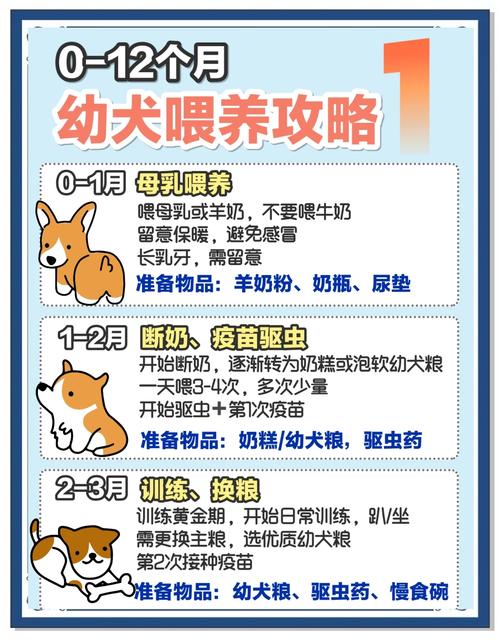 两个月的狗狗怎么养,两个月小狗怎么养,需要注意什么-第3张图片 两个月的狗狗怎么养,两个月小狗怎么养,需要注意什么-第3张图片