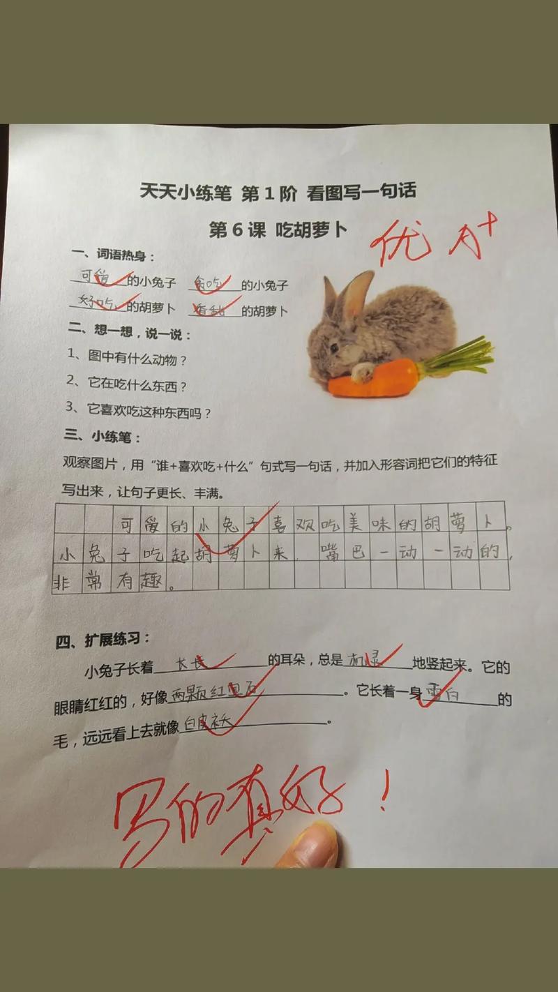 吃萝卜的兔子,吃萝卜的兔子头像-第4张图片 吃萝卜的兔子,吃萝卜的兔子头像-第4张图片