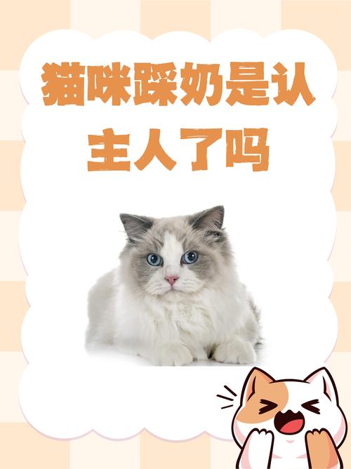 作为消费者“猫踩奶”你不能不知道-第2张图片 作为消费者“猫踩奶”你不能不知道-第2张图片