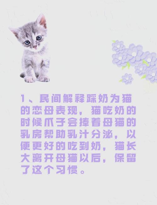 作为消费者“猫踩奶”你不能不知道-第4张图片 作为消费者“猫踩奶”你不能不知道-第4张图片