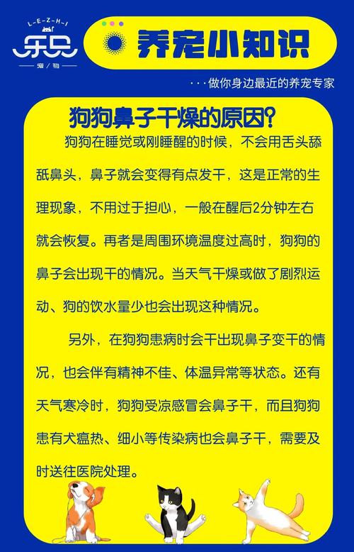 狗狗鼻子很干是怎么回事-狗狗鼻子很干是怎么回事呢-第9张图片 狗狗鼻子很干是怎么回事-狗狗鼻子很干是怎么回事呢-第9张图片