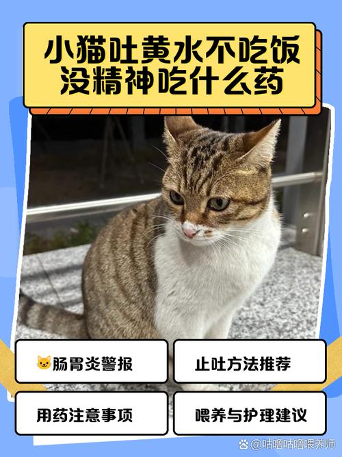 作为消费者“猫咪吐黄水拉稀不吃饭”你不能不知道-第2张图片 作为消费者“猫咪吐黄水拉稀不吃饭”你不能不知道-第2张图片