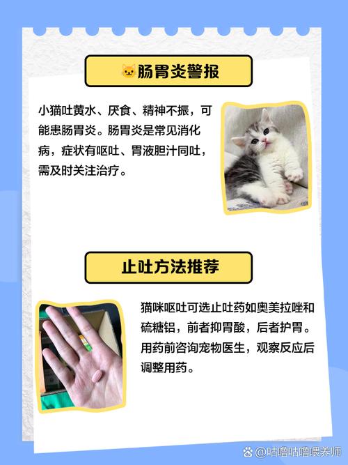 作为消费者“猫咪吐黄水拉稀不吃饭”你不能不知道-第3张图片 作为消费者“猫咪吐黄水拉稀不吃饭”你不能不知道-第3张图片