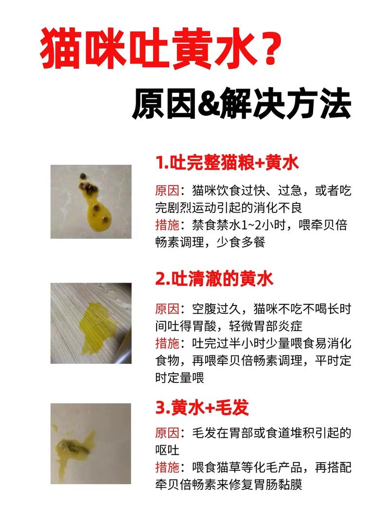 作为消费者“猫咪吐黄水拉稀不吃饭”你不能不知道-第7张图片 作为消费者“猫咪吐黄水拉稀不吃饭”你不能不知道-第7张图片