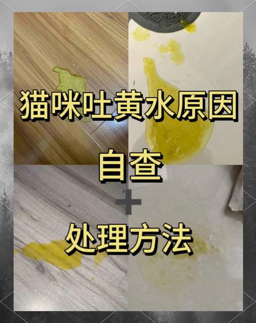 作为消费者“猫咪吐黄水拉稀不吃饭”你不能不知道-第10张图片 作为消费者“猫咪吐黄水拉稀不吃饭”你不能不知道-第10张图片