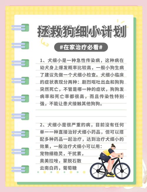 解析“狗狗得细小第三天症状”你不知道的事-第4张图片 解析“狗狗得细小第三天症状”你不知道的事-第4张图片