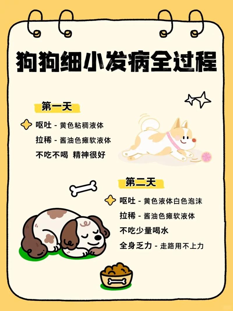 解析“狗狗得细小第三天症状”你不知道的事-第5张图片 解析“狗狗得细小第三天症状”你不知道的事-第5张图片