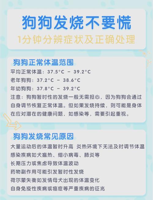 狗狗发烧有什么症状/泰迪狗狗发烧有什么症状-第3张图片 狗狗发烧有什么症状/泰迪狗狗发烧有什么症状-第3张图片