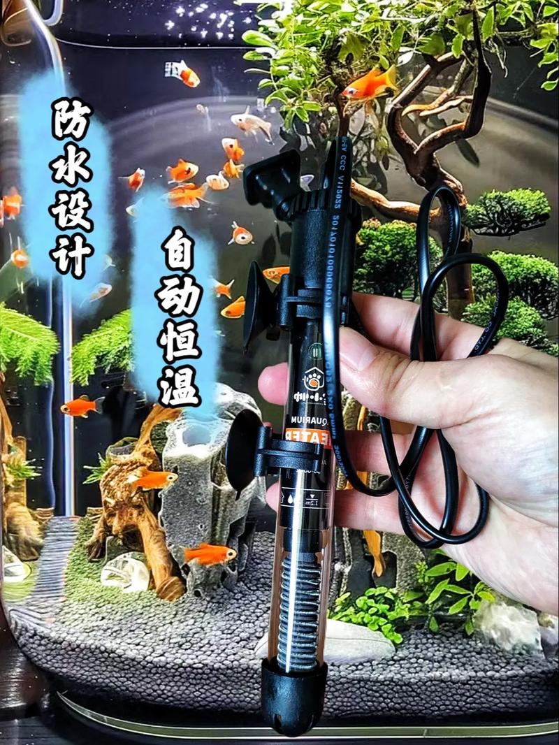 皇后神仙鱼寿命,为什么手机微信会自动闪退-第3张图片 皇后神仙鱼寿命,为什么手机微信会自动闪退-第3张图片