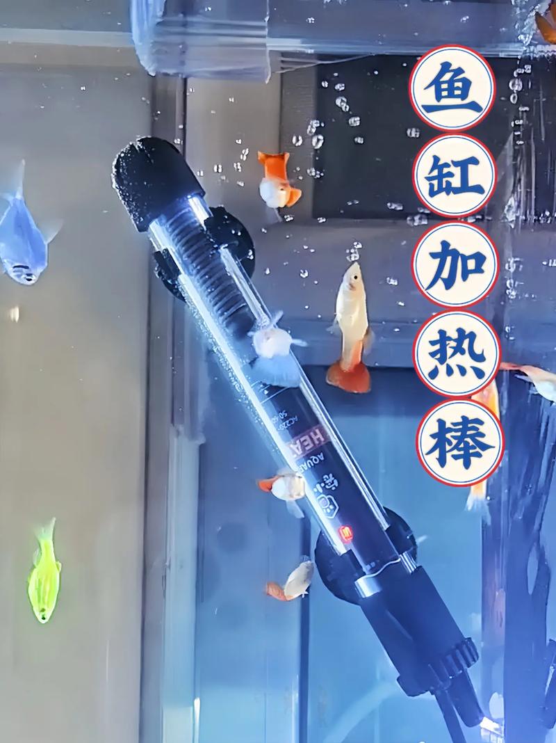 皇后神仙鱼寿命,为什么手机微信会自动闪退-第5张图片 皇后神仙鱼寿命,为什么手机微信会自动闪退-第5张图片