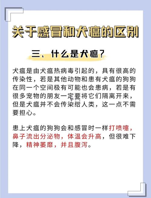 狗瘟热是什么症状怎么治疗/狗热瘟病-第3张图片 狗瘟热是什么症状怎么治疗/狗热瘟病-第3张图片
