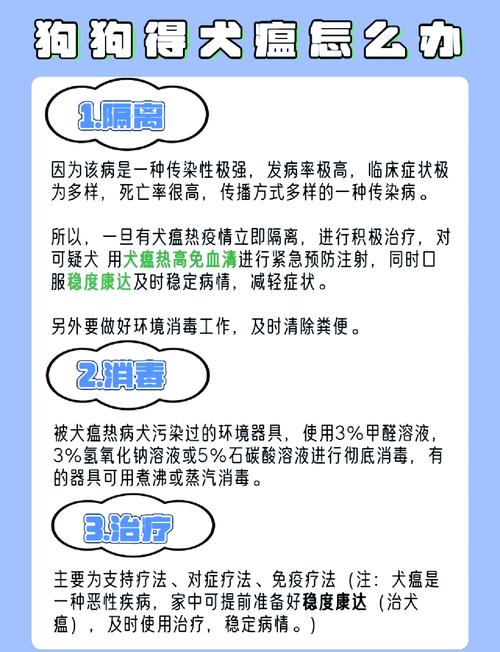 狗瘟热是什么症状怎么治疗/狗热瘟病-第6张图片 狗瘟热是什么症状怎么治疗/狗热瘟病-第6张图片
