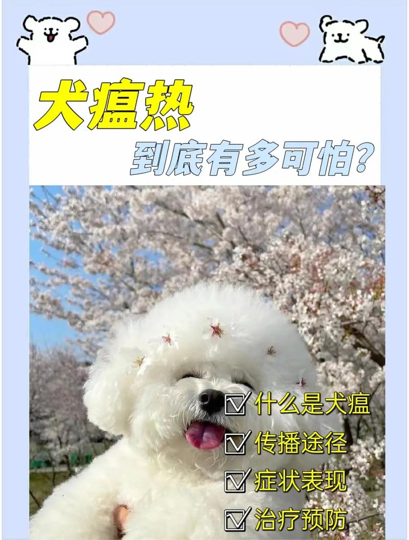 狗瘟热是什么症状怎么治疗/狗热瘟病-第8张图片 狗瘟热是什么症状怎么治疗/狗热瘟病-第8张图片