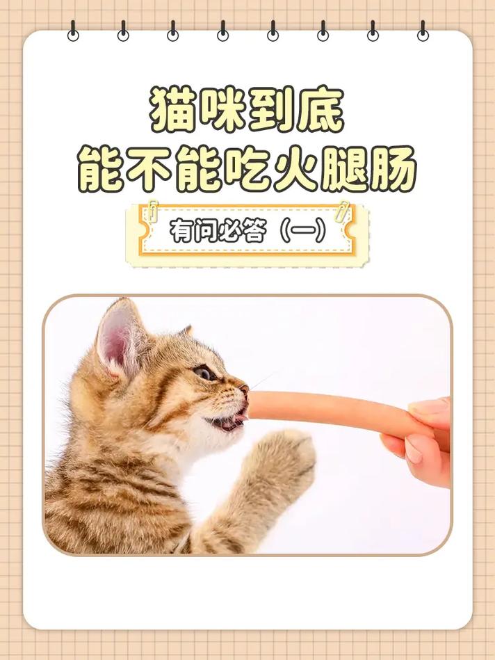作为消费者“猫咪可以吃火腿吗”你不能不知道-第2张图片 作为消费者“猫咪可以吃火腿吗”你不能不知道-第2张图片