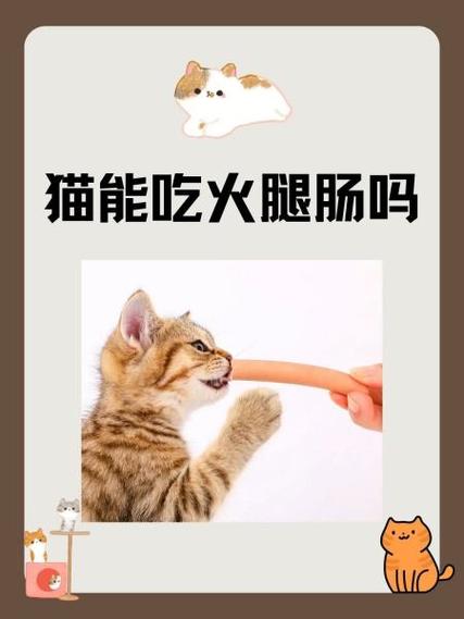 作为消费者“猫咪可以吃火腿吗”你不能不知道-第3张图片 作为消费者“猫咪可以吃火腿吗”你不能不知道-第3张图片