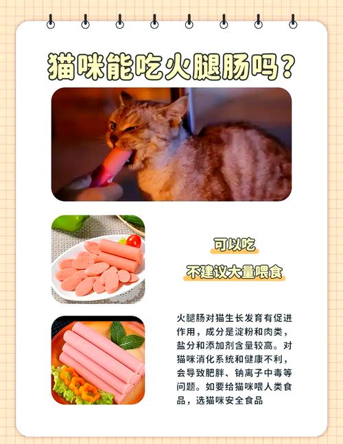 作为消费者“猫咪可以吃火腿吗”你不能不知道-第4张图片 作为消费者“猫咪可以吃火腿吗”你不能不知道-第4张图片