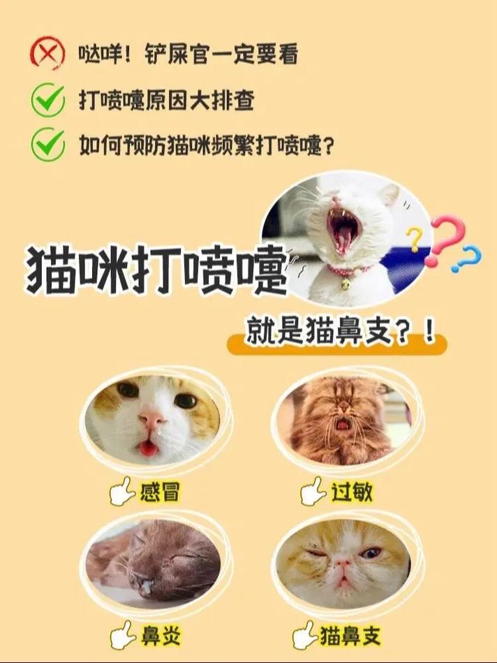 猫咪打喷嚏-猫咪打喷嚏流眼泪是怎么回事-第2张图片 猫咪打喷嚏-猫咪打喷嚏流眼泪是怎么回事-第2张图片