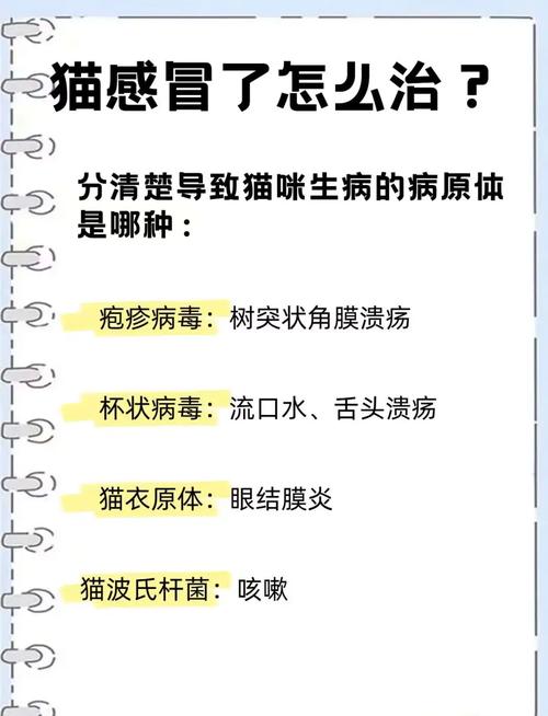 猫咪打喷嚏-猫咪打喷嚏流眼泪是怎么回事-第3张图片 猫咪打喷嚏-猫咪打喷嚏流眼泪是怎么回事-第3张图片