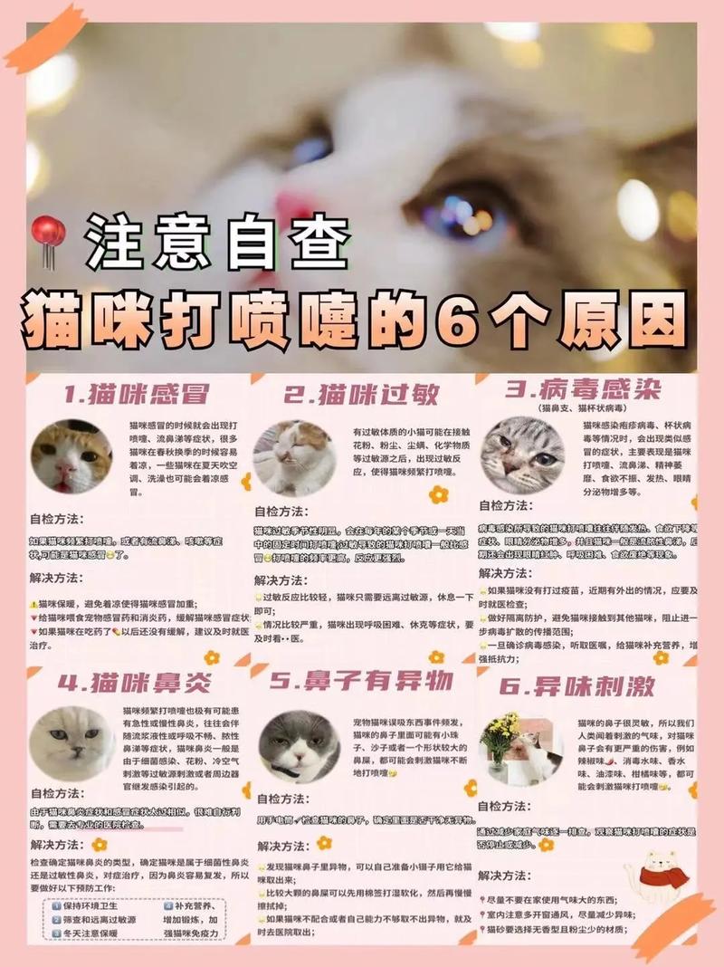 猫咪打喷嚏-猫咪打喷嚏流眼泪是怎么回事-第6张图片 猫咪打喷嚏-猫咪打喷嚏流眼泪是怎么回事-第6张图片