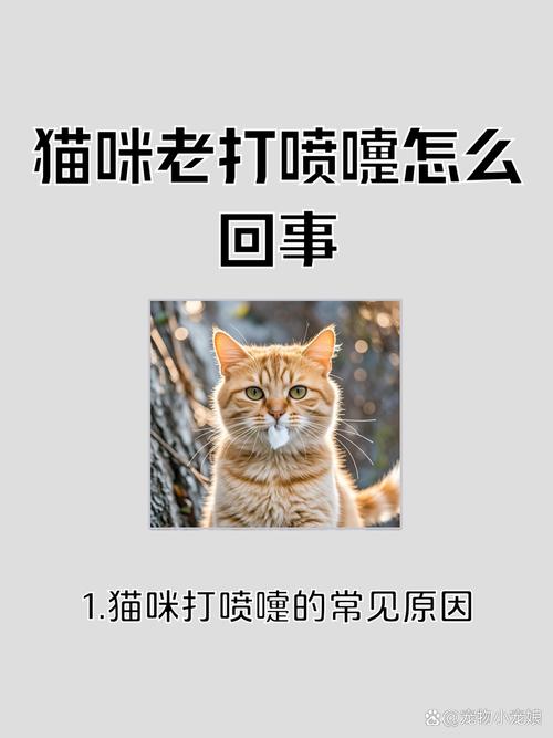 猫咪打喷嚏-猫咪打喷嚏流眼泪是怎么回事-第7张图片 猫咪打喷嚏-猫咪打喷嚏流眼泪是怎么回事-第7张图片