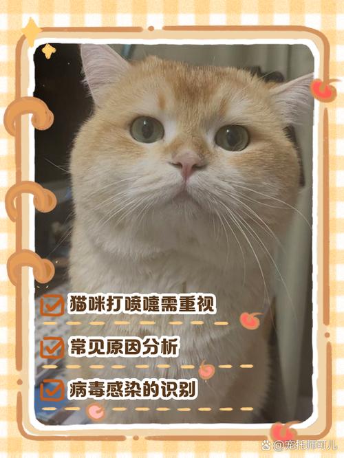 猫咪打喷嚏-猫咪打喷嚏流眼泪是怎么回事-第8张图片 猫咪打喷嚏-猫咪打喷嚏流眼泪是怎么回事-第8张图片