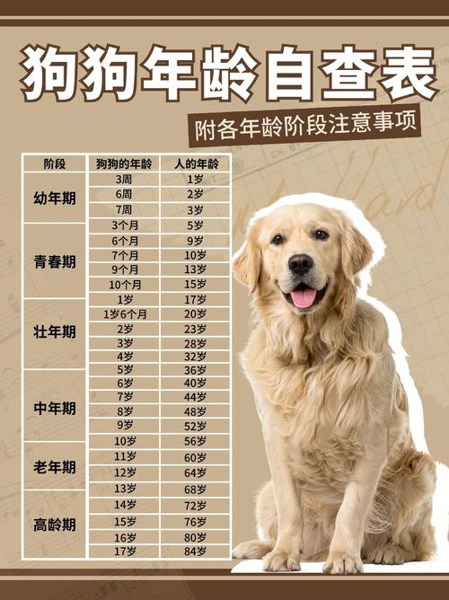 狗的寿命有多长,长寿狗的寿命有多长-第3张图片 狗的寿命有多长,长寿狗的寿命有多长-第3张图片